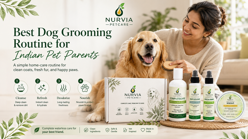 Best Dog Grooming Routine for Indian Pet Parents
