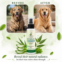 NURVIA GentleClean Waterless Dry Bath Spray for Dogs & Cats