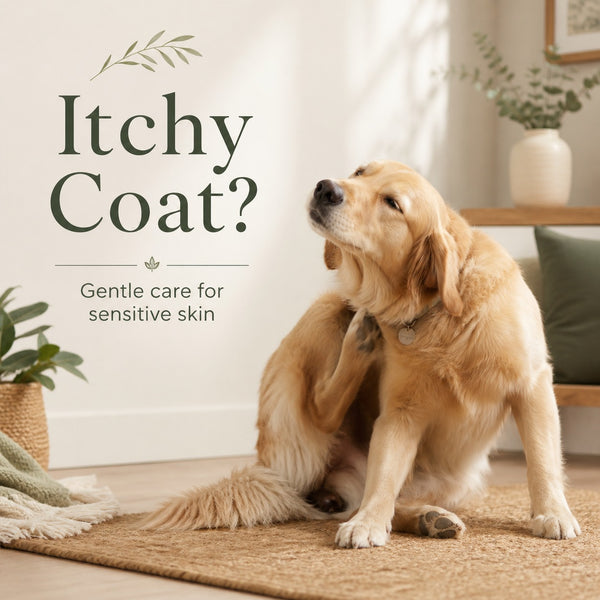 Itchy coat